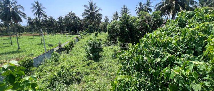 Tanah Lokasi Bitung Strategis Siap Bangun 1