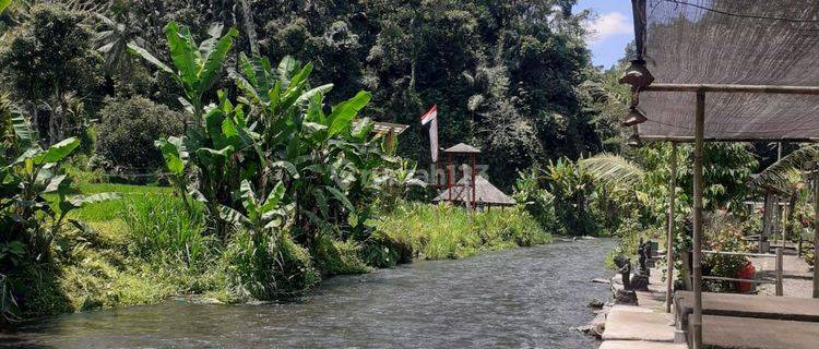 Land in Karangasem, Los Sungai View, Mount Sawah 1