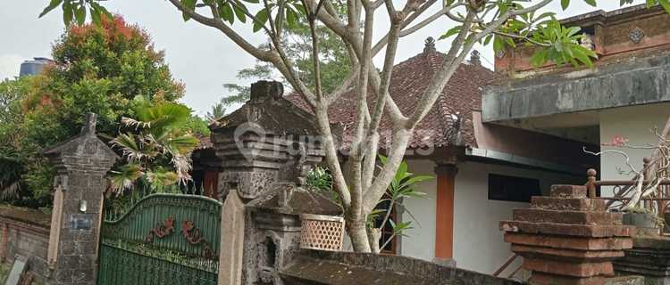 Di Jual Tanah Bonus Rumah Petulu Ubud-tirtatawar 1