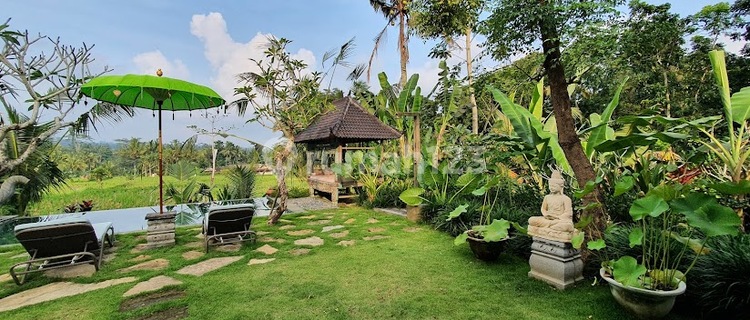 In the rice field view villa 1