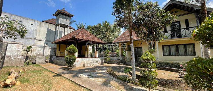 For sale, a large courtyard house in Ubud, Pejeng 1