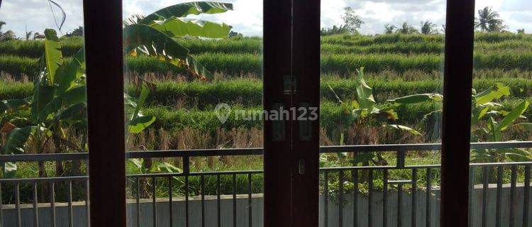 Di Jual Rumah Minimalis Lantai 2ubud 1