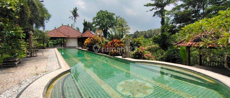 Villa Etnik Bali view Sawah Dekat Ubud 1