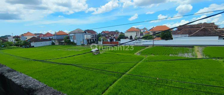 Di Jual Rumah Lantai 2 View Sawah Batubulan 1