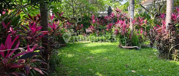 Di Jual Rumah Sederhana Dan Nyaman 1