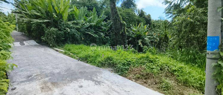 Di Jual Tanah Murah Pejeng  1