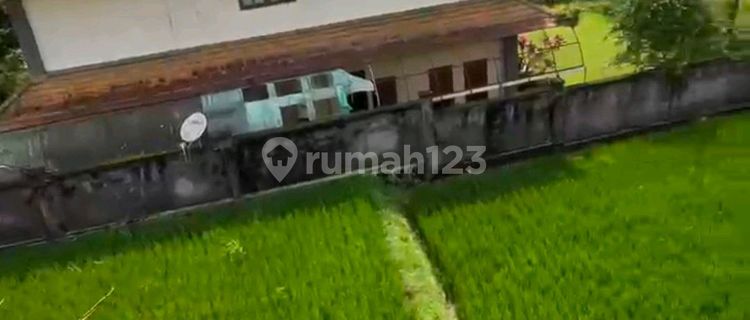 For Sale House Near Maya Resort View of Eternal Rice Fields 1