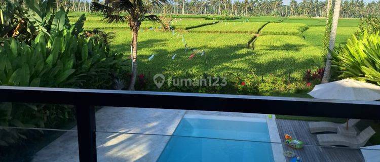 Luxury Villa view Rice Fields 1