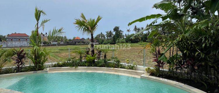 Villa Nice View Sawah 1