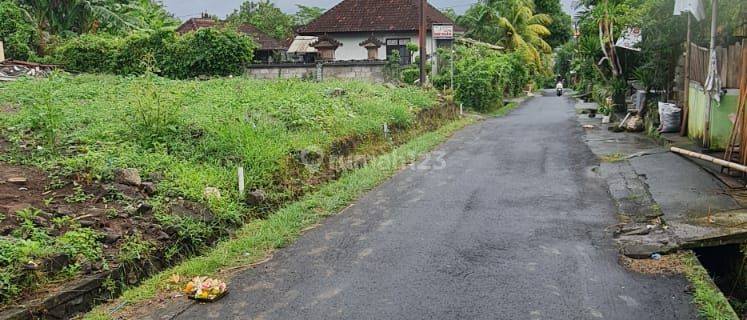 Tanah Murah Lokasi Strategis Sading Badung Bali  1