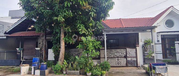 Rumah Komplek Sebelah Gading Serpong 1