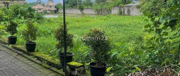 Small area of land in central Ubud area 1