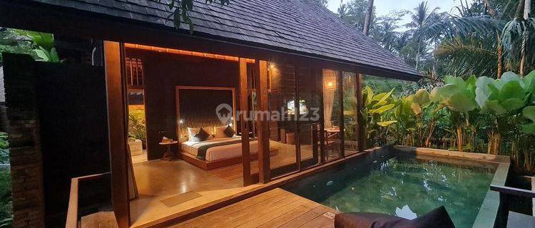 One Bedroom Villa On The Edge Of Ubud River Valley 1