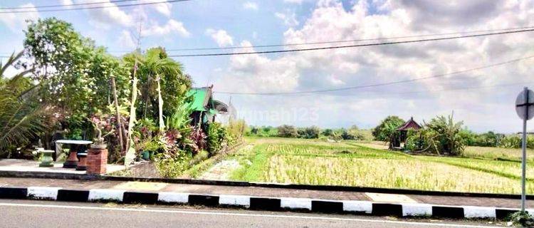 Dijual Tanah Premium di Jalan Utama Pantai Tanah Lot 1