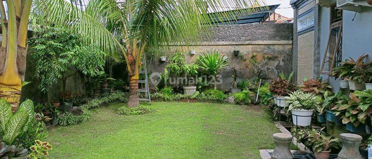 House For Sale On Jalan Pigeon Sanur Denpasar 1