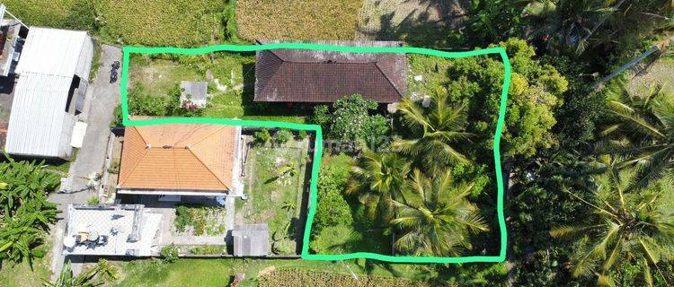 Dijual Tanah Murah Berlokasi di Sanding Tampak Siring Ubud 1