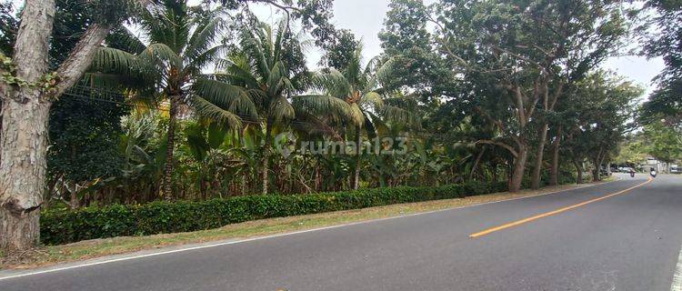 Cheap Land for sale at Los Sungai in Denpasar Gilimanuk Main Street 1