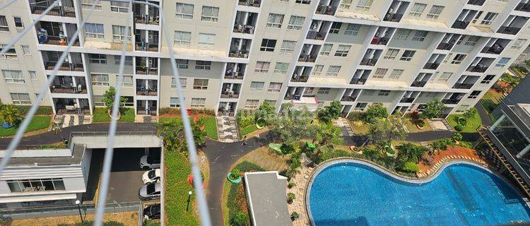 Apartemen Scientia Gading Serpong View Taman Pool  1