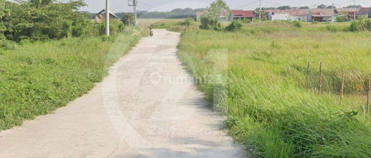 Dijual Tanah Untuk Perumahan Cikande Serang Banten 1