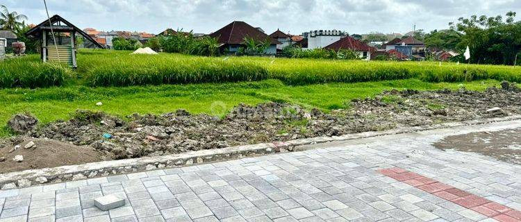 Tanah Mewah View Sawah Harga Murah Buc 1