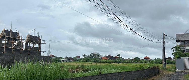 For Leaseholds Land 2500 Sqm At Pandak Gede Area 1