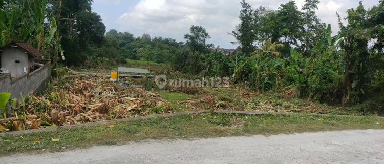 Jual Murah Tanah Kavling Lc Sanggulan Tabanan 1