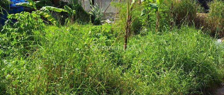 Selling 200 M2 of Rare Land in Pandak Kediri Tabanan 1