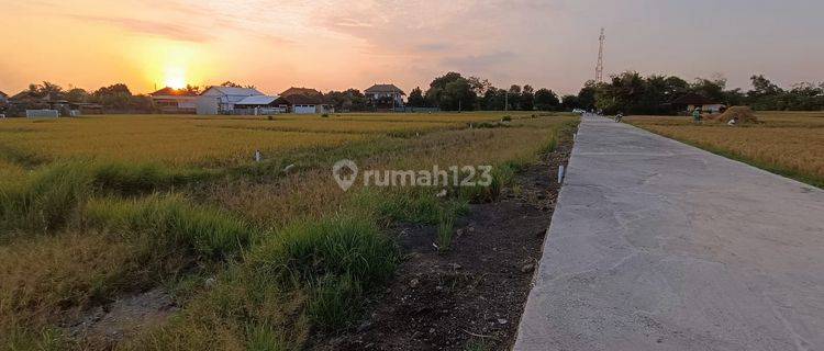 Tanah Murah View Sawah Kawasan Kedungu Tabanan 1