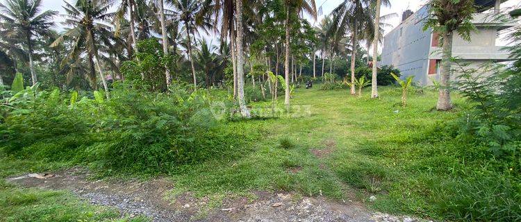 Buc Land for Rent 2170 M2 Area Balian Beach 1