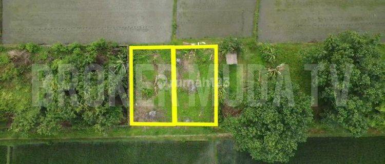 Selling a plot of land with a view of rice fields 1