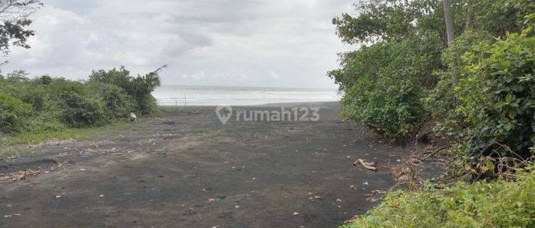  Tanah Los Pantai di Jalan Utama Denpasar Gilimanuk,lokasi di Area Pariwisata  1