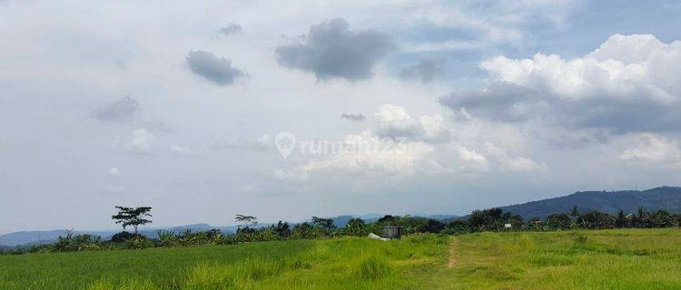 Lahan Luas Support Kawasan Industri Area Kabupaten Semarang 1