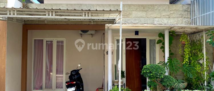 Dijual Murah Cepat Rumah Sambiroto Dekat Kedungmundu 1