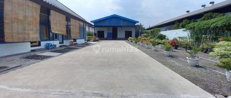 Disewakan Gudang di Zona Merah Sukoharjo dengan Luas 3662m 1