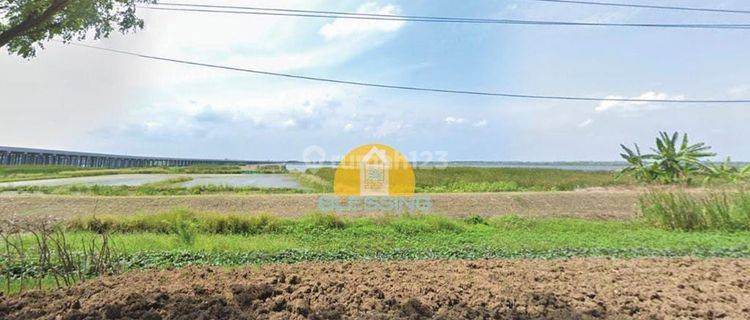 Dijual tanah industri di jalan onggorawe sayung demak  1