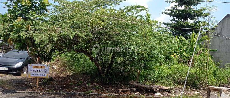 Dijual kavling siap bangun di tirtomukti raya tlogosari pedurungan  1