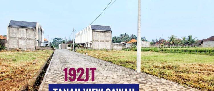 Jual Tanah Shm Murah View Sawah Rasa Ubud Di Tabanan Bali 1