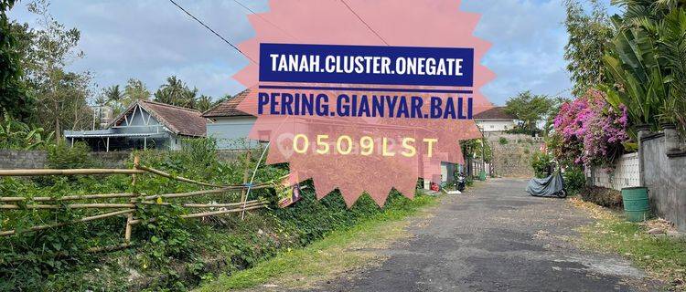 Jual Tanah Onegate Cluster Pering Gianyar Bali 1