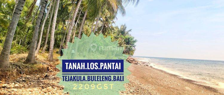 Jual Tanah Los Tepi Pantai Laut Buleleng Dekat Lovina Bali 1