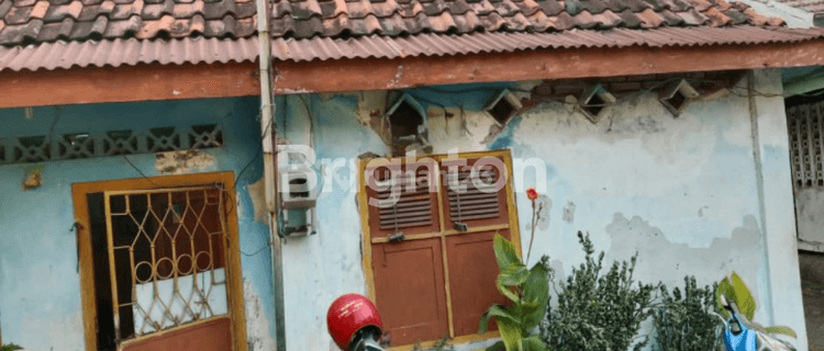 RUMAH 1 LANTAI SHM DI DAERAH GENTENG SURABAYA 1