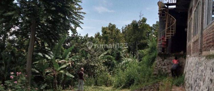 TANAH 2 HA BONUS RUMAH + 3 KOLAM + POHON CENGKEH & KOPI DI GUNUNG CAKRA BUANA 1