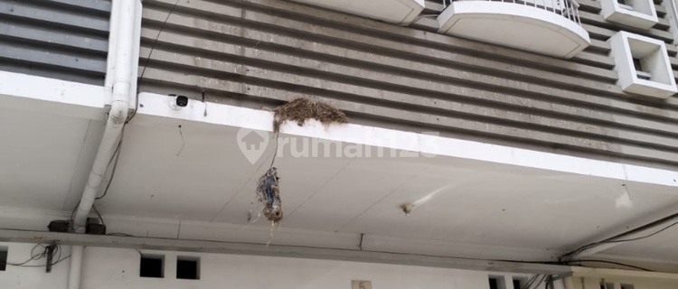 For Sale: Strategic Ready-to-Use Shop House in Surapati Core, Quick Sale. 1