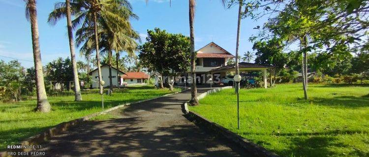 Tanah Kotak 4.000 m² Bonus Villa di Pangandaran, Ciamis  1