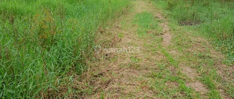 Tanah 100 M Dekat Tol Serang Timur Untirta Pakupatan 1