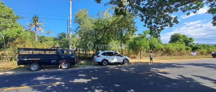 Tanah 1 Hektar Pinggir Jalan Raya Langam Sumbawa Ntb 1