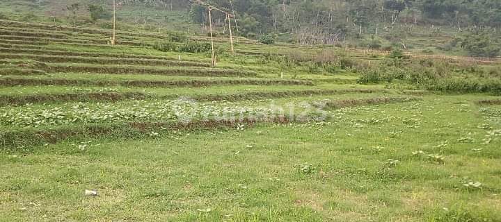  Tanah di Cicalengka nagreg kabupaten Bandung 250 hektar SHM 1