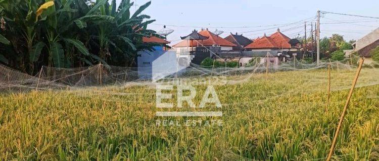 Tanah Strategis Di Banyuning Singaraja Buleleng  Bali Utara 1