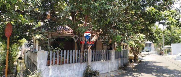 Nego Sampai Jadi Beli Tanah Gratis Rumah Di Taman Nyiur, Sunter 1