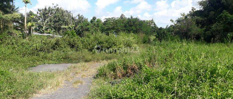 Dijual Tanah Kavling View Sawah Mengwi Badung 1