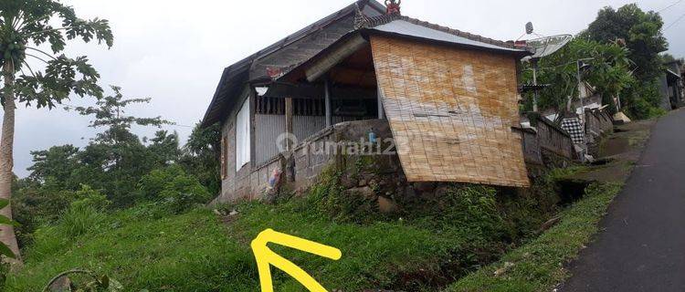 Tanah Dekat Pantai Lovina Sukasada Buleleng  1